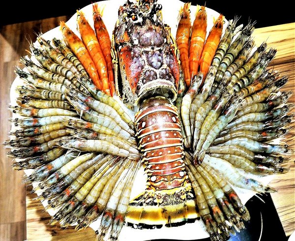 石都府石頭火鍋達人：【新北美食】石都府石頭火鍋達人～新莊火鍋，巨無霸龍蝦＋金多蝦海陸套餐澎湃上桌