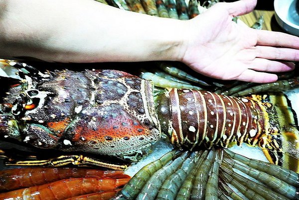 石都府石頭火鍋達人：【新北美食】石都府石頭火鍋達人～新莊火鍋，巨無霸龍蝦＋金多蝦海陸套餐澎湃上桌