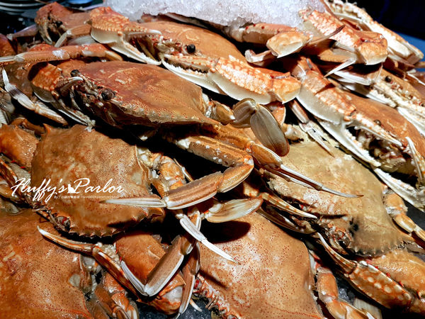 03冷盤區域 (4).jpg