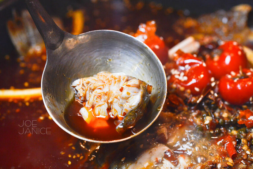 板橋美食【紅門宴川味麻辣鴛鴦鍋】烤魚結合火鍋 辣中帶麻烤魚乾鍋