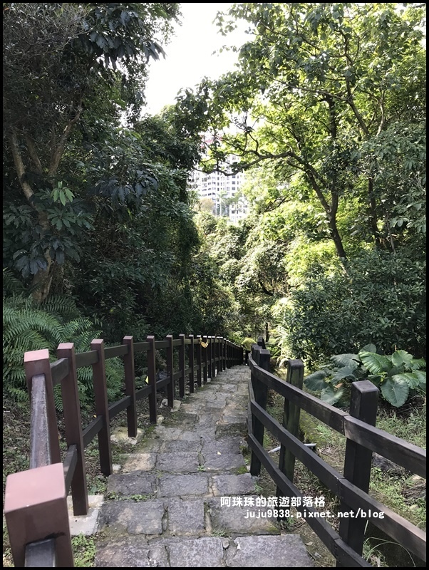 碧湖公園37.JPG