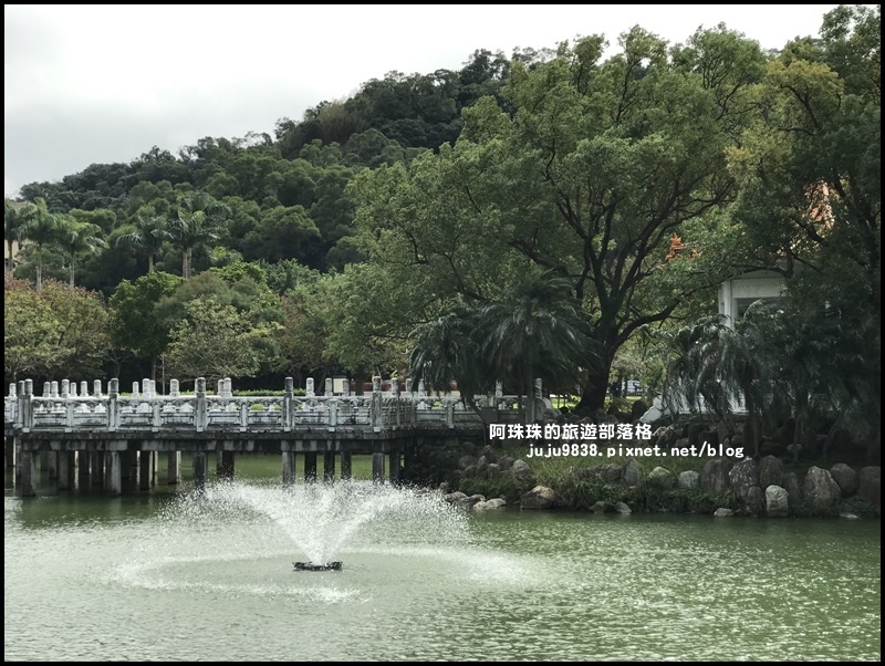 碧湖公園50.JPG