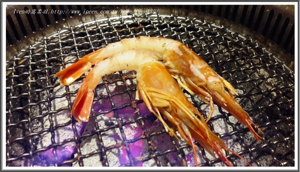 燒惑日式炭火燒肉店-板橋總店:《板橋燒烤吃到飽》燒肉控的天堂,享受CP值高,令人太犯規的日式炭火燒肉吃到飽-『燒惑日式炭火燒肉店-板橋總店』