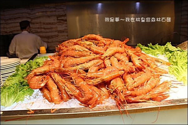 林皇宮森林百匯自助餐21.jpg