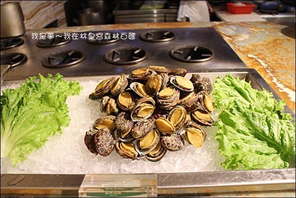 林皇宮森林百匯自助餐19.jpg