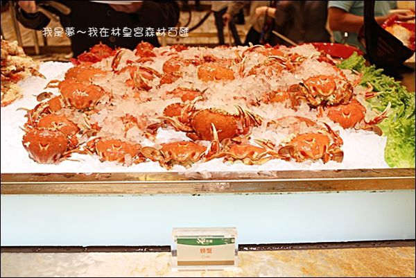林皇宮森林百匯自助餐56.jpg