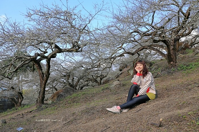 埔里景點鳥居torii喫茶食｜日式浴衣體驗.下午茶飲品，網美景點鄰近埔里、日月潭周邊美食景點