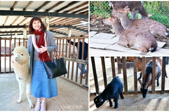 埔里景點鳥居torii喫茶食｜日式浴衣體驗.下午茶飲品，網美景點鄰近埔里、日月潭周邊美食景點