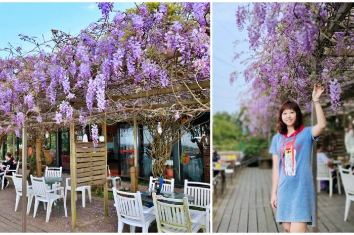 埔里景點鳥居torii喫茶食｜日式浴衣體驗.下午茶飲品，網美景點鄰近埔里、日月潭周邊美食景點