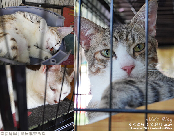 鳥居喫茶食堂-84.jpg 鳥居喫茶食堂-84.jpg