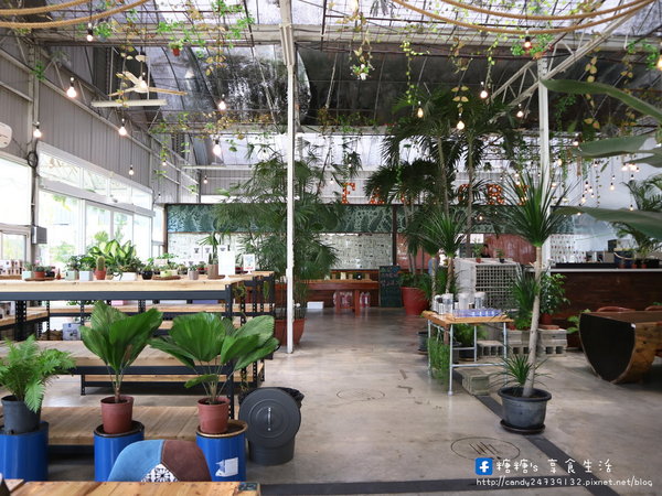 山姆派樂SAMpartner:〖台中│美食〗山姆派樂SAMpartner ❤ 北屯美食推薦,靠近大坑,有著美美溫室花園般的用餐環境,激推咖哩烏龍麵!!還有繽紛漂亮的鮮果冰棒~