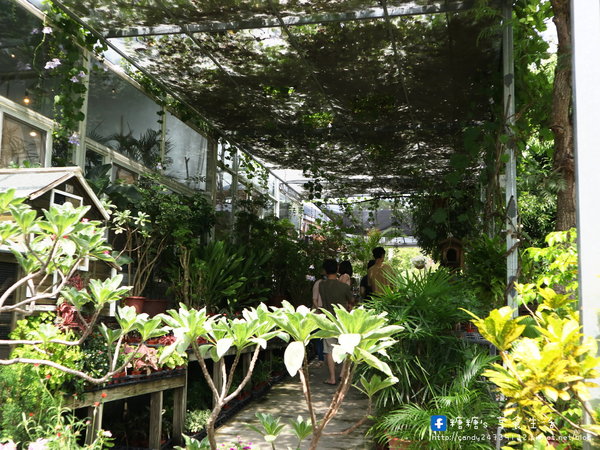 山姆派樂SAMpartner:〖台中│美食〗山姆派樂SAMpartner ❤ 北屯美食推薦,靠近大坑,有著美美溫室花園般的用餐環境,激推咖哩烏龍麵!!還有繽紛漂亮的鮮果冰棒~