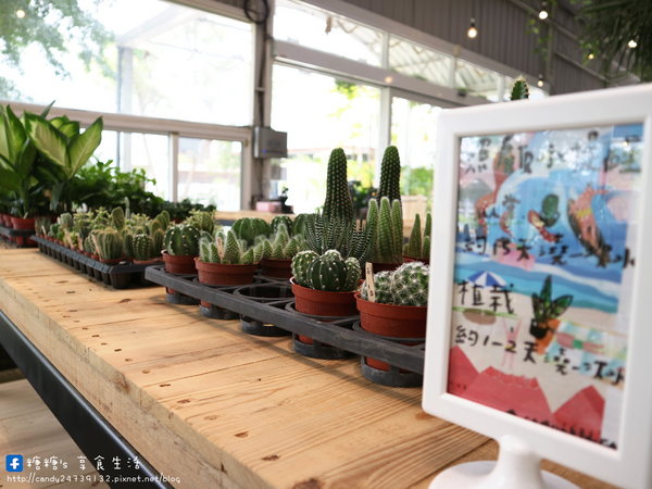 山姆派樂SAMpartner:〖台中│美食〗山姆派樂SAMpartner ❤ 北屯美食推薦,靠近大坑,有著美美溫室花園般的用餐環境,激推咖哩烏龍麵!!還有繽紛漂亮的鮮果冰棒~