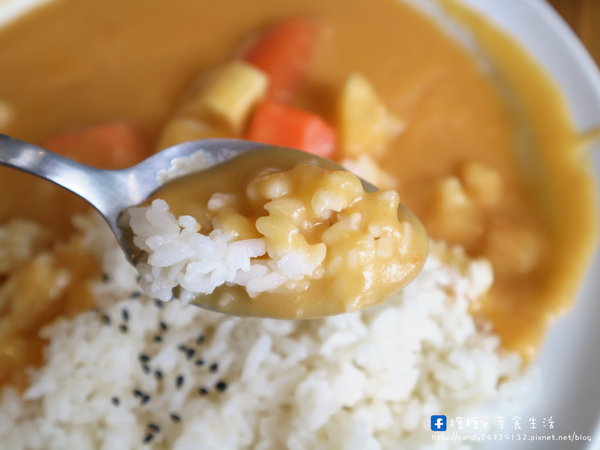 山姆派樂SAMpartner:〖台中│美食〗山姆派樂SAMpartner ❤ 北屯美食推薦,靠近大坑,有著美美溫室花園般的用餐環境,激推咖哩烏龍麵!!還有繽紛漂亮的鮮果冰棒~