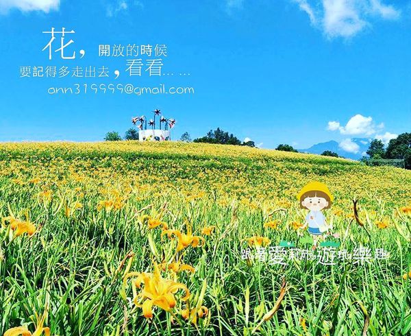 20915906_1523741227647092_1941297239_n