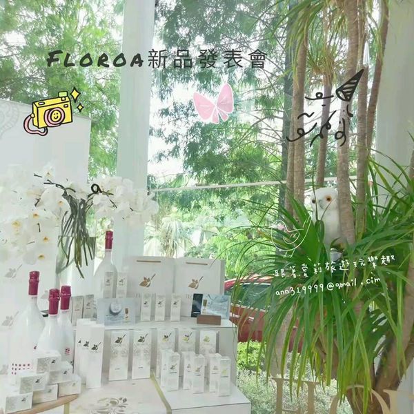 20067722_1489460117741870_1499138646_n