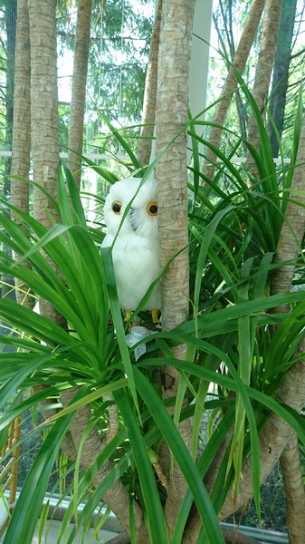 Maison de Verre 梅森維拉:高雄~Maison de Verre 梅森維拉玻璃屋餐廳~浪漫優雅的早午餐~情侶約會餐廳~特色餐廳~