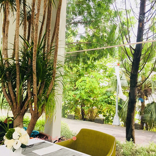 【高雄美食】隱身愛河畔的玻璃花屋 ❤ 梅拉維森Maison de Verre ❤ 浪漫佈置讓你享受法式優雅