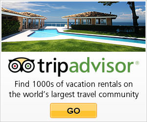 炸去啃：百貨公司也可以吃到鹽酥雞，炸去啃鹽酥雞輕鬆吃，還有雞排丼飯可選擇喔~