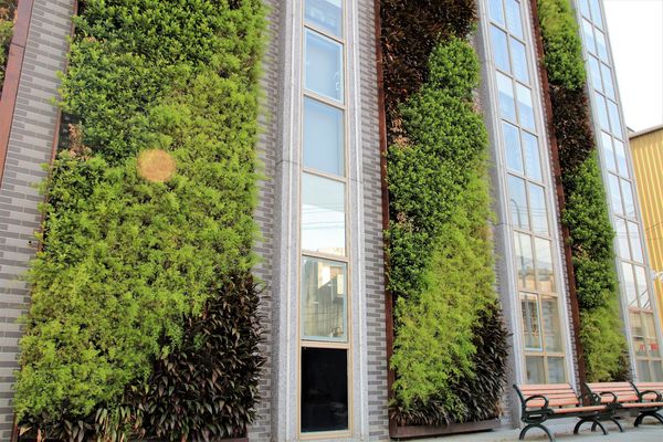 葡萄王能量館： 【桃園平鎮景點】葡萄王健康活力能量館~桃園新的觀光工廠/康貝特冰淇淋嘗鮮/9月底前免門票