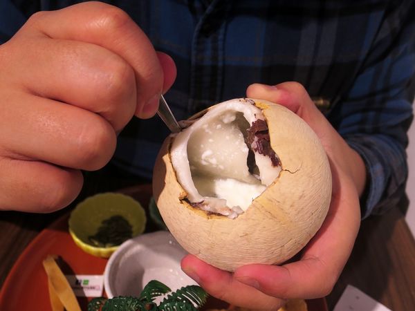 Coco Brother 椰子冰淇淋 (38).jpg