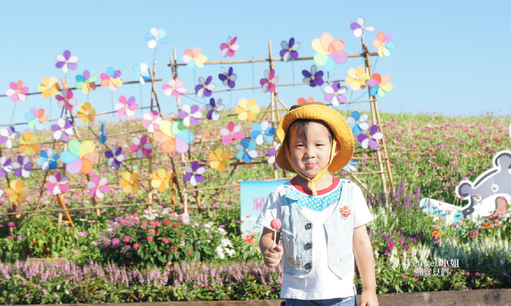 2017.08.28 關渡花海節 (17).JPG