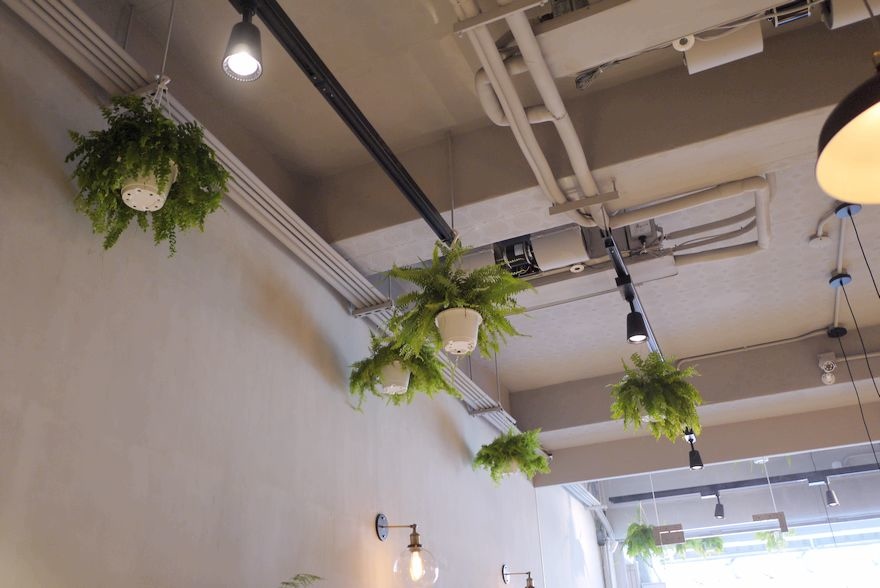 P2930207.jpg P2930207.jpg