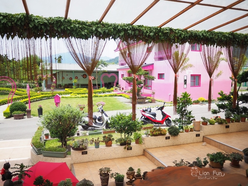 P6223494.JPG P6223494.JPG