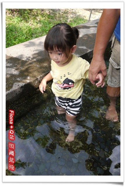 【南投埔里一日遊】桃米親水公園+埔里酒廠+豐年農場+宏基蜜蜂生態農場+敲敲木音樂工房+元首館，無論戲水、美食、觀光、新知通通有，皆是親子同遊好景點 !