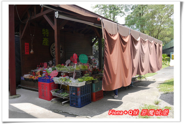 【南投埔里一日遊】桃米親水公園+埔里酒廠+豐年農場+宏基蜜蜂生態農場+敲敲木音樂工房+元首館，無論戲水、美食、觀光、新知通通有，皆是親子同遊好景點 !