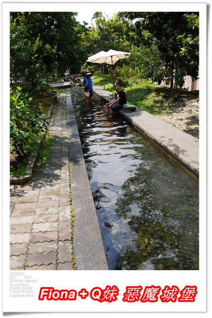 【南投埔里一日遊】桃米親水公園+埔里酒廠+豐年農場+宏基蜜蜂生態農場+敲敲木音樂工房+元首館，無論戲水、美食、觀光、新知通通有，皆是親子同遊好景點 !