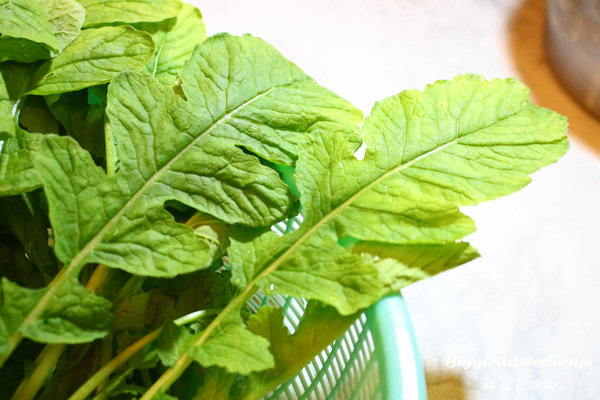 ok 11 葉蘿蔔  (2).jpg