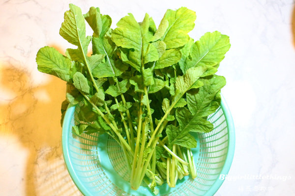 ok 11 葉蘿蔔  (1).jpg