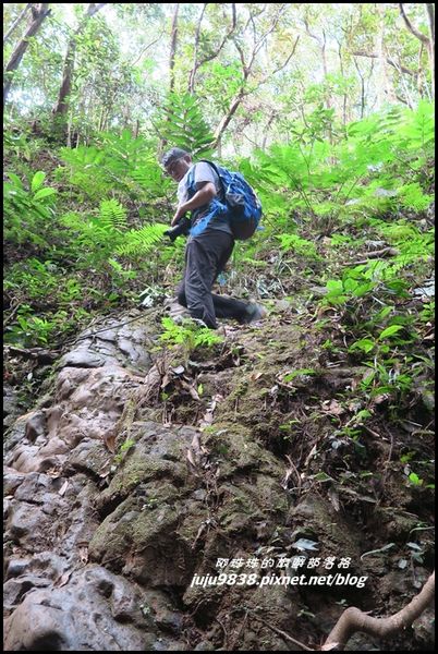 蘭嶼大天池32.JPG