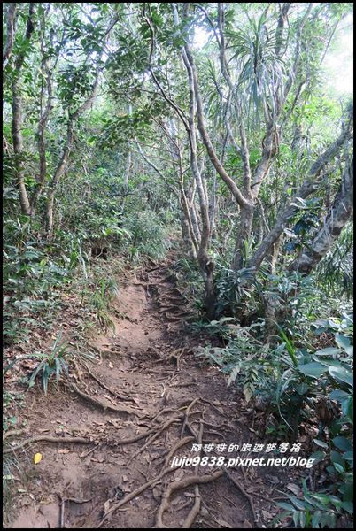 蘭嶼大天池23.JPG