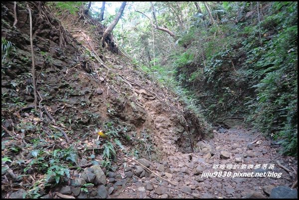 蘭嶼大天池33.JPG