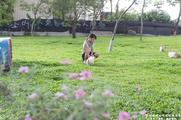 蕭家大院兔子寵物餐廳:屏東︱蕭家大院兔子寵物餐廳 帶著孩子餵兔子、和兔子玩躲貓貓吧!