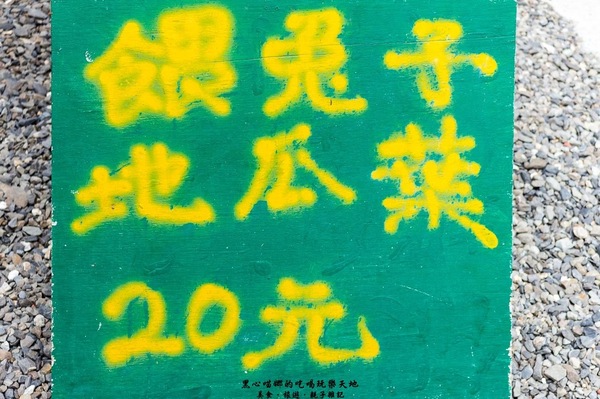 蕭家大院兔子寵物餐廳:屏東︱蕭家大院兔子寵物餐廳 帶著孩子餵兔子、和兔子玩躲貓貓吧!