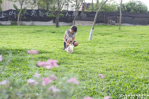 蕭家大院兔子寵物餐廳:屏東︱蕭家大院兔子寵物餐廳 帶著孩子餵兔子、和兔子玩躲貓貓吧!
