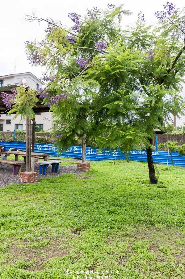 蕭家大院兔子寵物餐廳:屏東︱蕭家大院兔子寵物餐廳 帶著孩子餵兔子、和兔子玩躲貓貓吧!