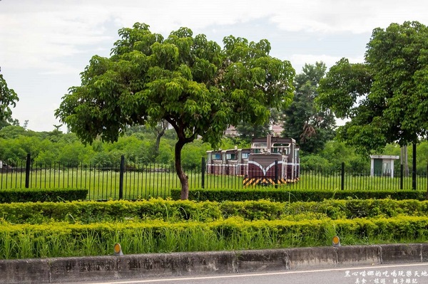 蕭家大院兔子寵物餐廳:屏東︱蕭家大院兔子寵物餐廳 帶著孩子餵兔子、和兔子玩躲貓貓吧!