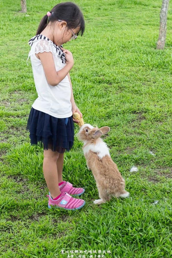 蕭家大院兔子寵物餐廳:屏東︱蕭家大院兔子寵物餐廳 帶著孩子餵兔子、和兔子玩躲貓貓吧!