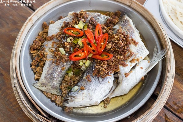 蕭家大院兔子寵物餐廳:屏東︱蕭家大院兔子寵物餐廳 帶著孩子餵兔子、和兔子玩躲貓貓吧!