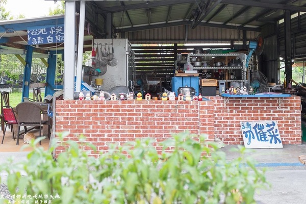 蕭家大院兔子寵物餐廳:屏東︱蕭家大院兔子寵物餐廳 帶著孩子餵兔子、和兔子玩躲貓貓吧!