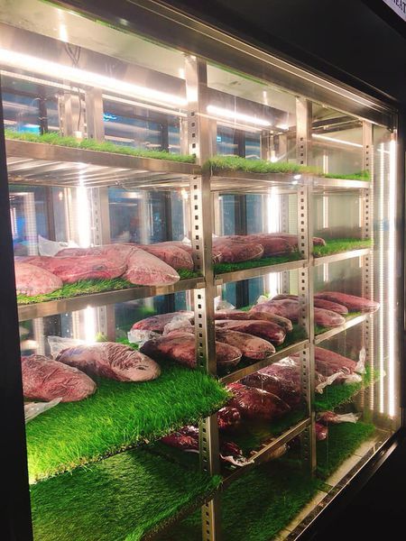 90225902_10220199441791623_3472048787537526784_n.jpg 90225902_10220199441791623_3472048787537526784_n.jpg