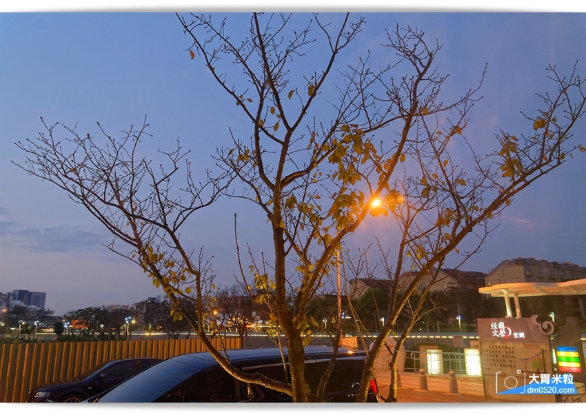 桃園日式料理推薦,森料理,時尚日式禪風庭院造景餐廳,嚐著珍貴日本A5+和牛~小小一口真銷魂,桃園海鮮餐廳推薦,桃園商務會議/家庭聚餐/尾牙宴客/包廂餐廳推薦, - 大胃米粒 DAVID & M