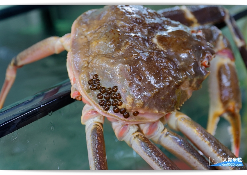 桃園日式料理推薦,森料理,時尚日式禪風庭院造景餐廳,嚐著珍貴日本A5+和牛~小小一口真銷魂,桃園海鮮餐廳推薦,桃園商務會議/家庭聚餐/尾牙宴客/包廂餐廳推薦, - 大胃米粒 DAVID & M