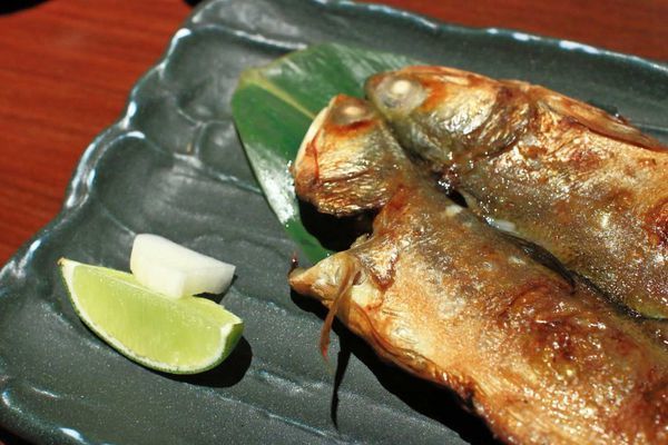 【桃園美食】森日式料理-CP值極高！超豪華日式庭園景觀餐廳