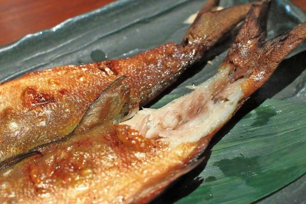 【桃園美食】森日式料理-CP值極高！超豪華日式庭園景觀餐廳