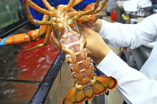 【桃園美食】森日式料理-CP值極高！超豪華日式庭園景觀餐廳